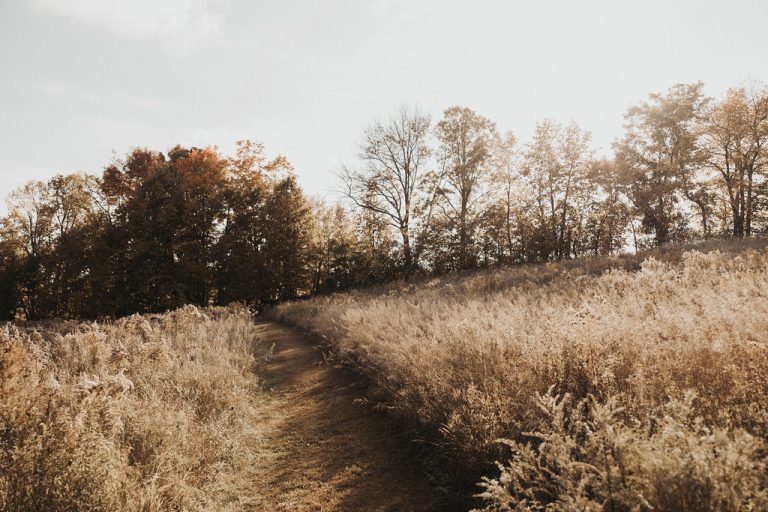SamMitch Wedding 639yes 768x512