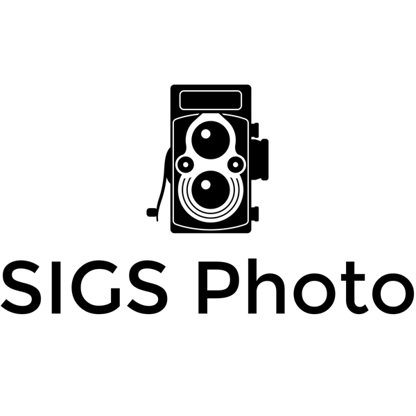 SIGS Logo 600x600 1