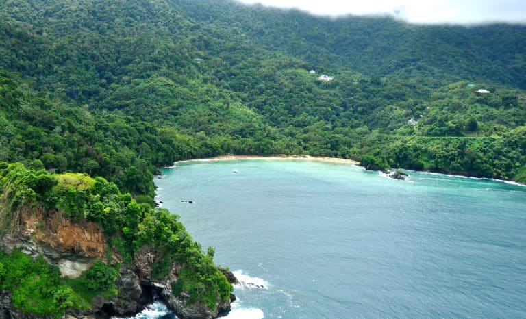 Englishman s Bay 768x466