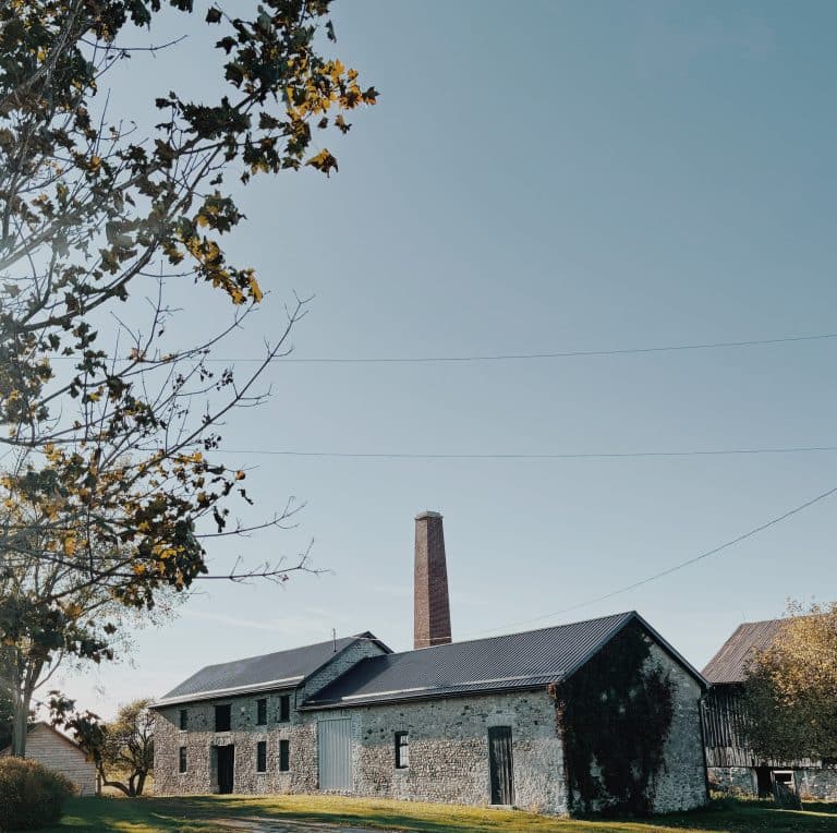 IMG 8387 VSCO 1 768x764