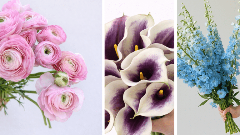 Pink Green and Beige Soft Leaves Illustrative Minimalist Clean Elegant Florist Store Presentation 1920 x 1080 px 2 768x432