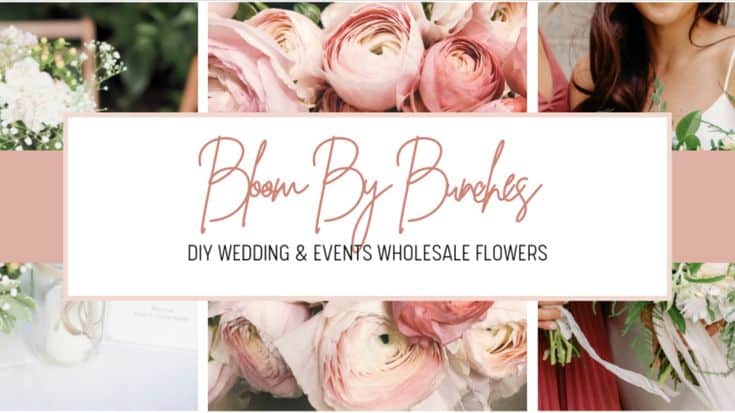 d166e5cd0e54582edde8cd58aa2fc98a