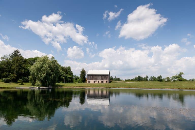 the hummingbird barn wedding event venue erin ontario 115 768x512