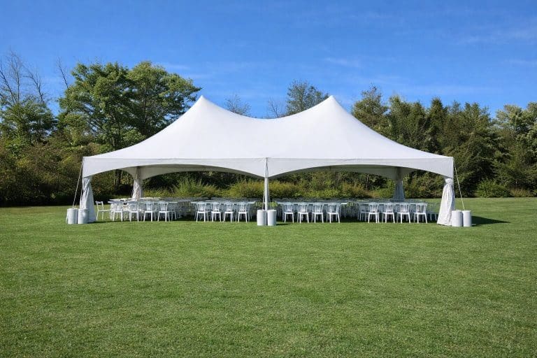 CnP 18032026 025114 768x512