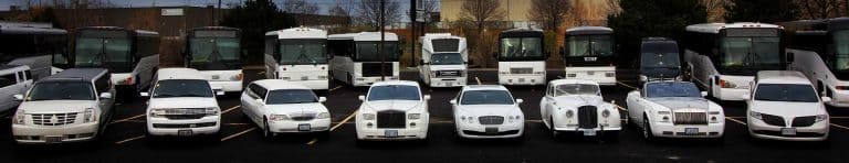party limo bus 768x148