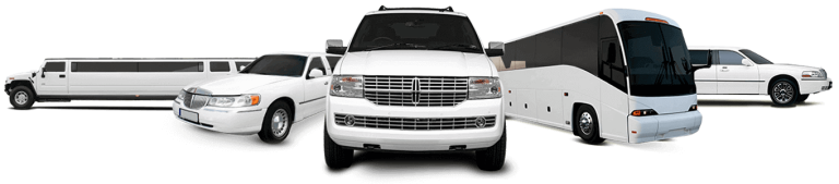 party limo bus rental 768x169