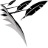 Biography Writing favicon