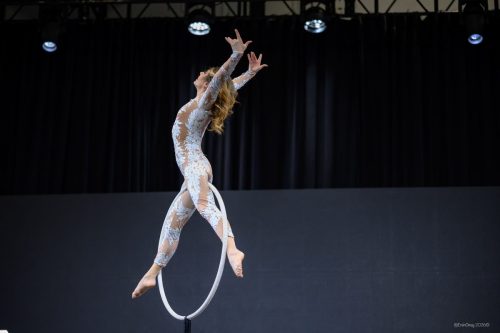 Canada's Bridal Show October 2026 - Aerial performer at the fashion show